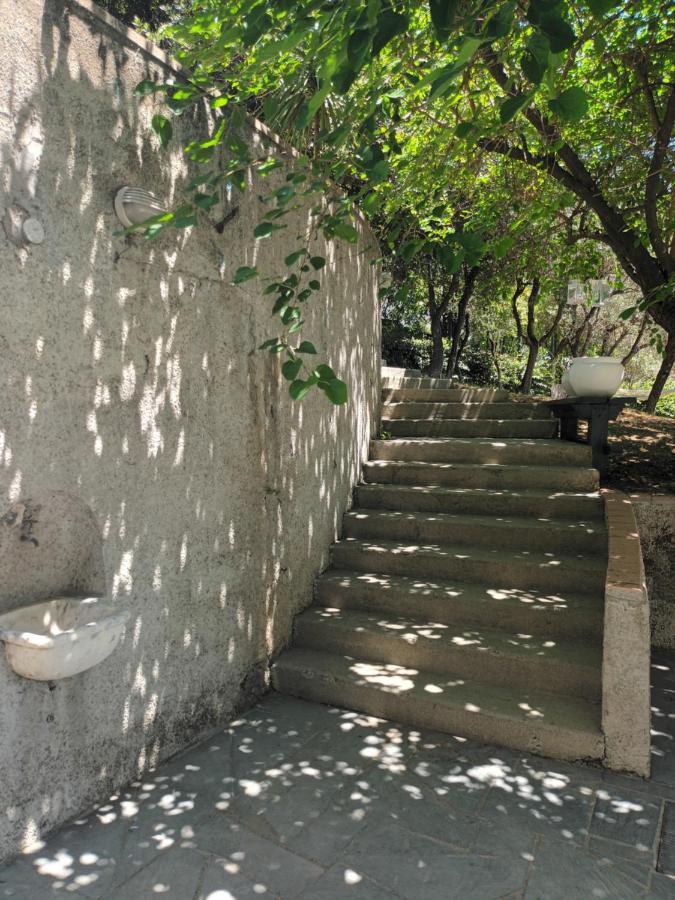 Il Gelso Acomodação com café da manhã San Bartolomeo  Exterior foto